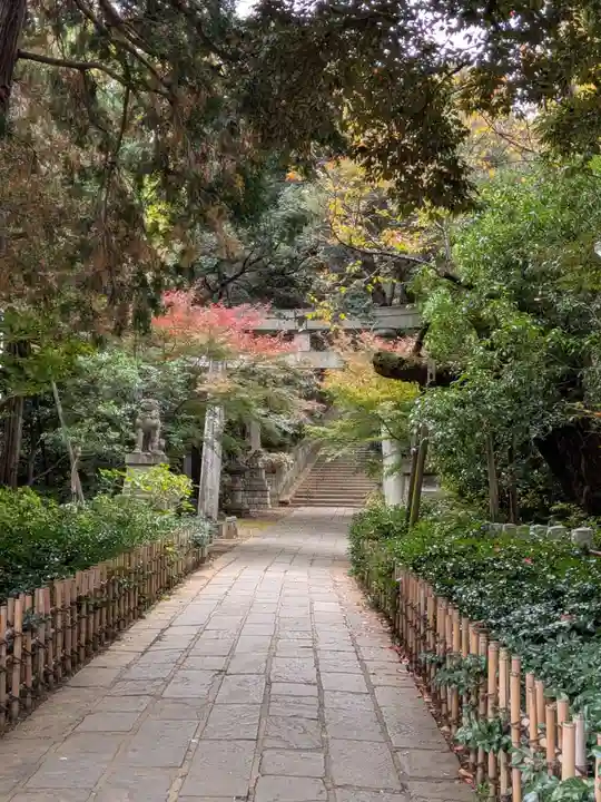 赤坂氷川神社(東京都)