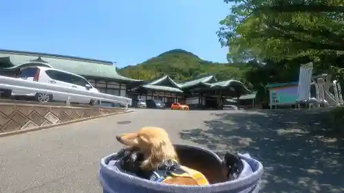 宮地嶽神社(福岡県)
