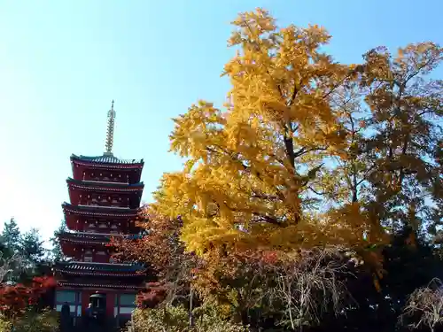 本土寺(千葉県)