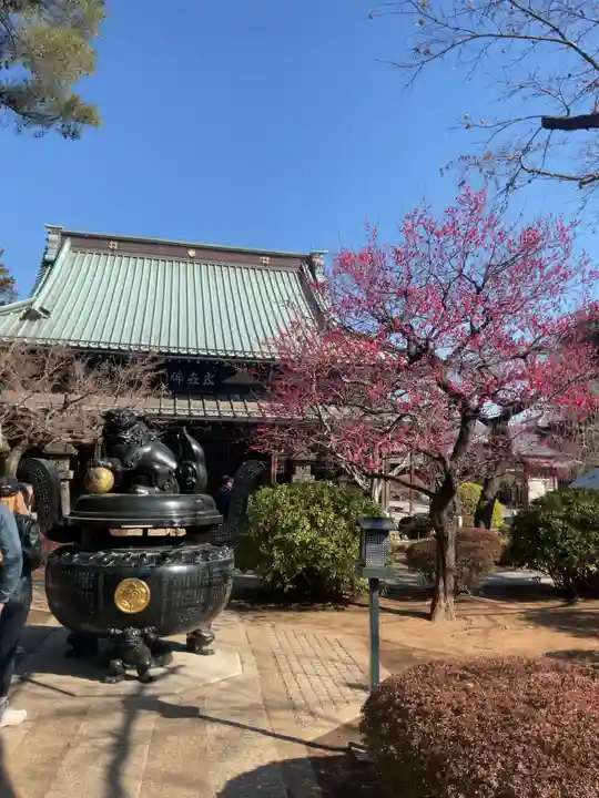 豪徳寺(東京都)