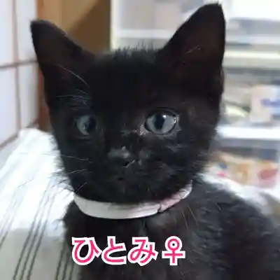 天王山 安楽寺(福井県)