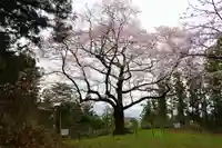 安達太良神社の自然