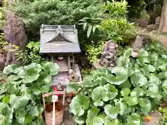 澤蔵司稲荷（慈眼院）(東京都)