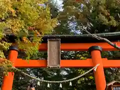 新倉富士浅間神社の鳥居