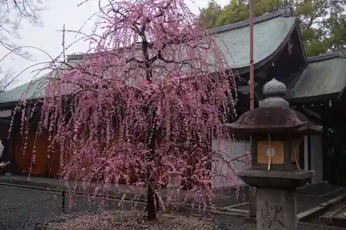 城南宮(京都府)