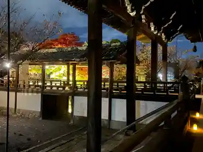 妙顯寺（妙顕寺）(京都府)