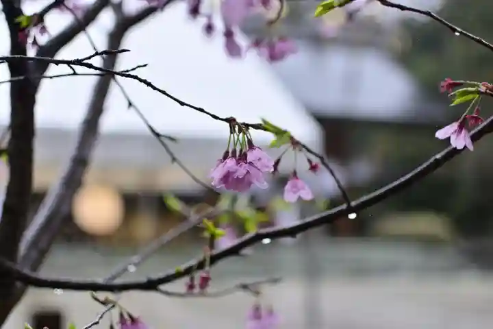 櫻木神社(千葉県)