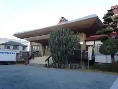 蓮光寺の本殿・本堂