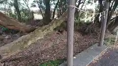 抜鉾神社の庭園