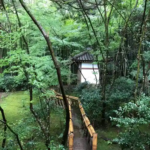 滝口寺の庭園