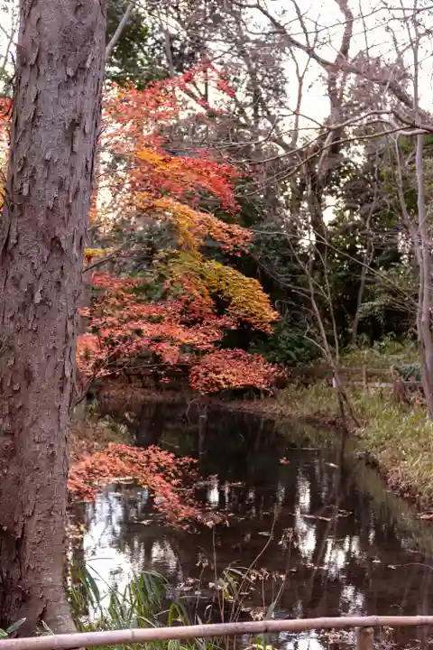 賀茂御祖神社(下鴨神社)(京都府)
