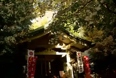 銀杏岡八幡神社の本殿・本堂