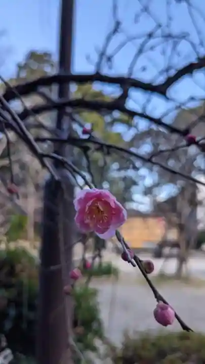 富部神社(愛知県)