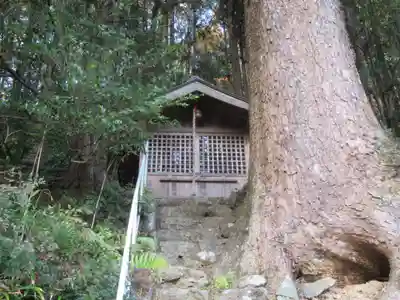 柏木神社(東京都)