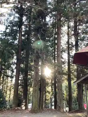 吾妻神社(群馬県)