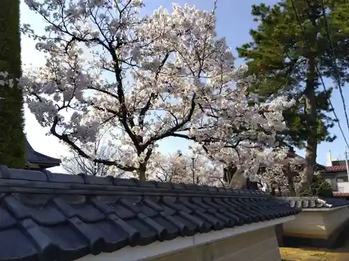 井波園瑞泉寺(新潟県)
