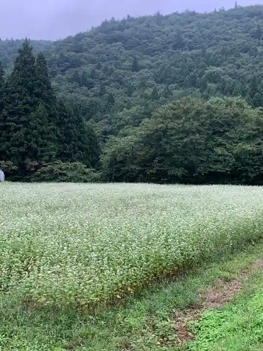 大沢温泉金勢神社の自然
