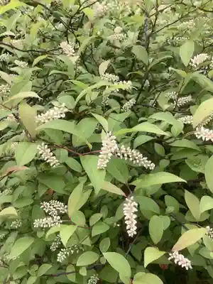 日蓮宗瑞光山久遠寺の庭園