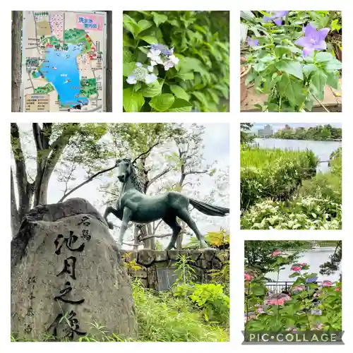 千束八幡神社(東京都)