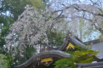 子安神社(東京都)