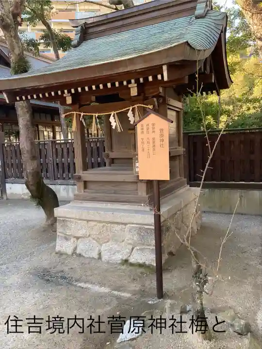 住吉神社の末社・摂社