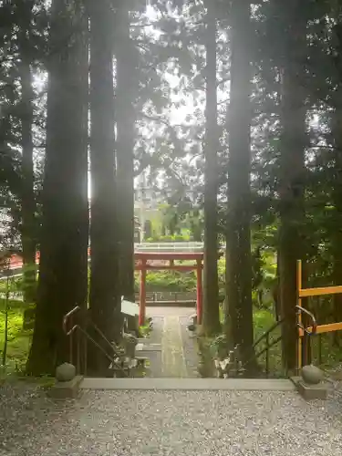須山浅間神社(静岡県)
