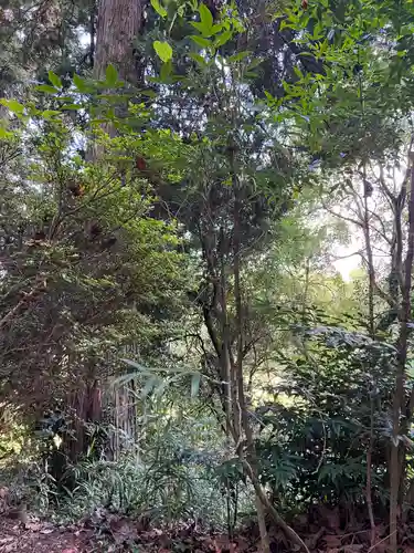 大宮温泉神社(栃木県)