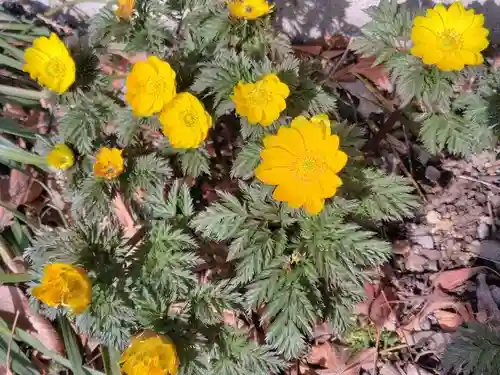 阿邪訶根神社(福島県)