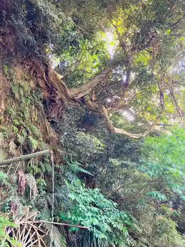 龍福寺(千葉県)