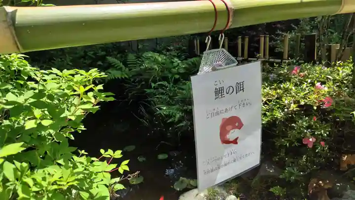 霊源院(京都府)