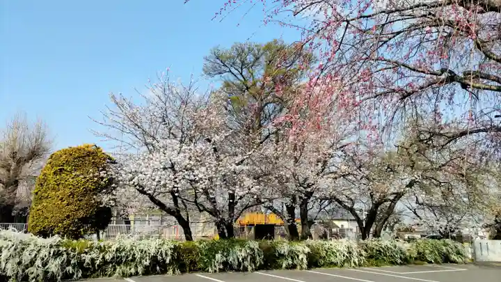 光徳寺(群馬県)