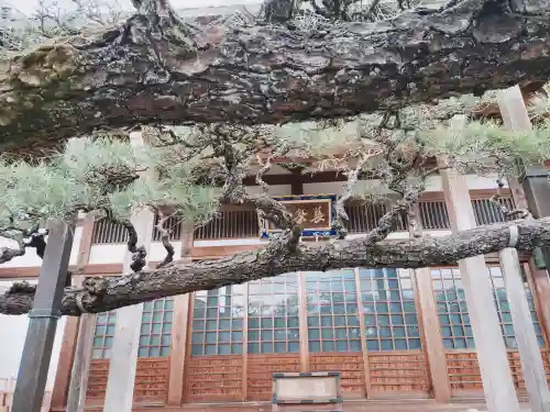 妙典寺の{uncategorized: "未分類", other: "その他", undefined: "問題あり", building: "その他建物", grave: "お墓", sacred_gate: "鳥居", guardian: "狛犬", statue: "像", buddha: "仏像", history: "歴史", nature: "自然", garden: "庭園", animal: "動物", pagoda: "塔", temizu: "手水舎", mountain_gate: "山門・神門", sanctuary: "本殿・本堂", subordinate: "末社・摂社", art: "芸術", scenery: "景色", jizo: "地蔵", ema: "絵馬", goshuin: "御朱印", omikuji: "おみくじ", items: "授与品その他", amulet: "お守り", goshuincho: "御朱印帳", eats: "食事", festival: "お祭り", votive_dance: "神楽", shichigosan: "七五三参", wedding: "結婚式", experience: "体験その他", initially: "初詣", around: "周辺", anti_infection: "感染症対策"}