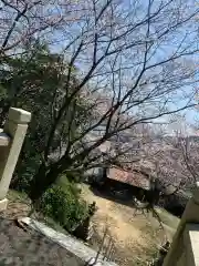 貴布祢神社の自然