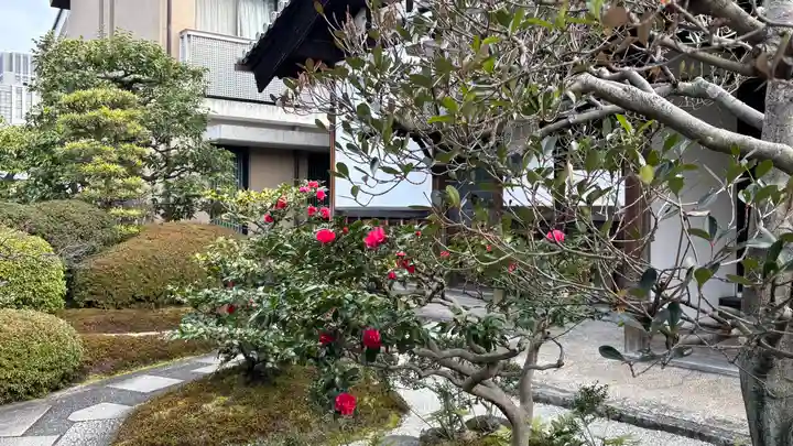 新德禅寺 (新徳寺)(京都府)