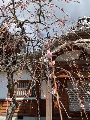 宗栄寺(愛知県)