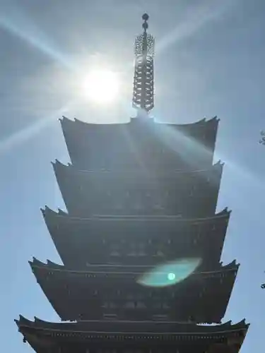 浅草寺(東京都)