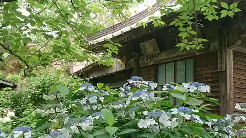 極楽寺（霊鷲山感應院極楽律寺）の庭園