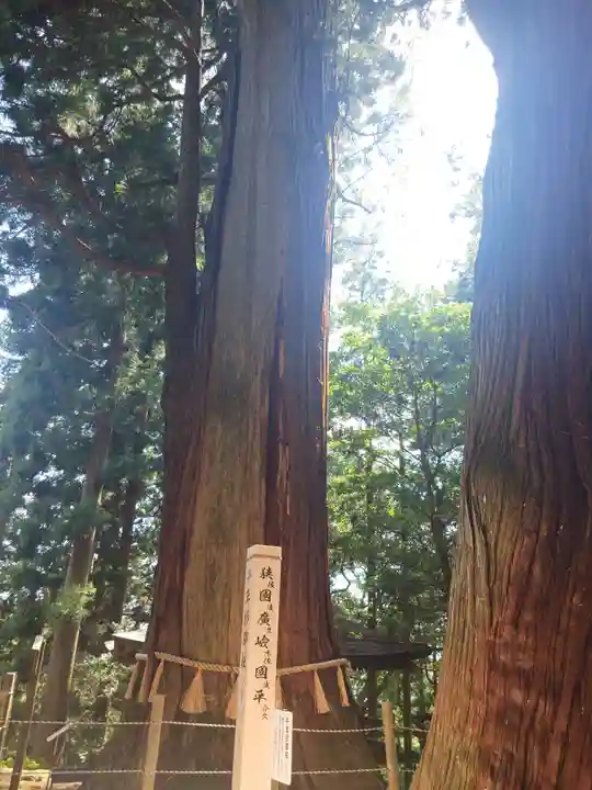 鷲子山上神社(栃木県)