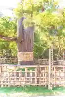 日高神社(岩手県)