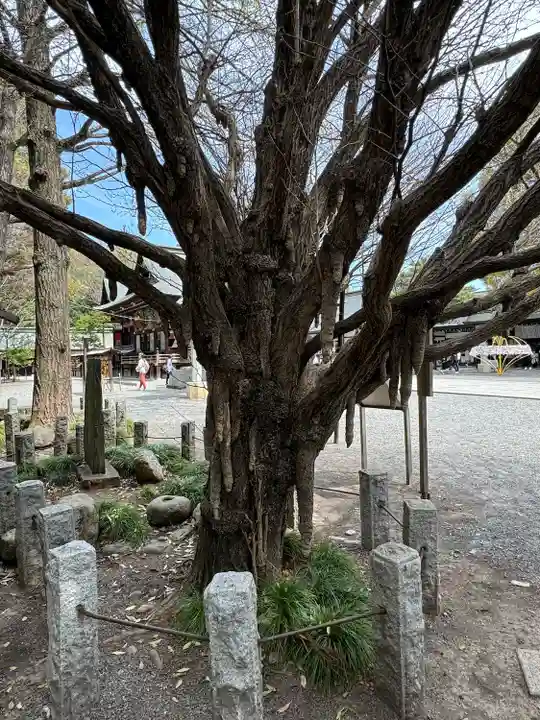 秩父神社(埼玉県)