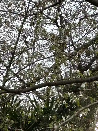 黙仙寺(神奈川県)