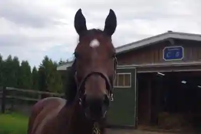 遠浅神社(北海道)