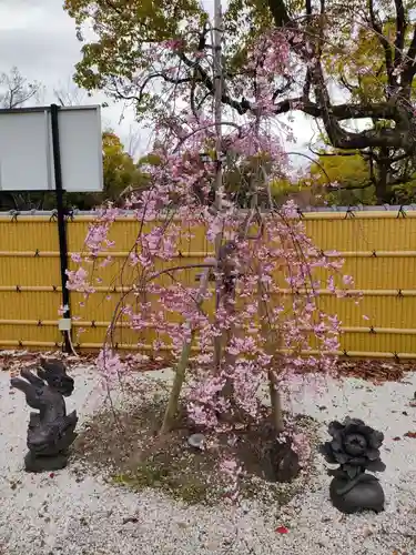 太閤山常泉寺の自然