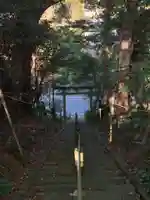 琴平神社(千葉県)