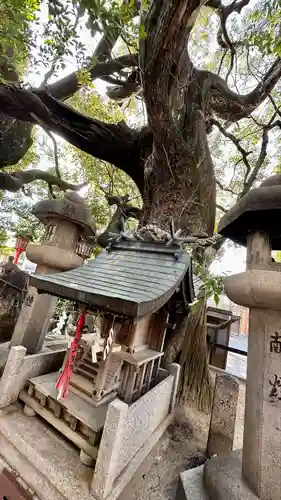 若一神社(京都府)