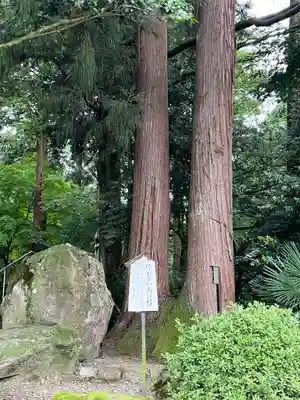 劒神社(福井県)