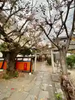 櫻宮神社(桜宮)の鳥居