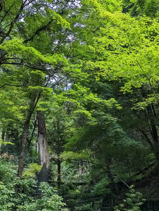 鞍馬寺(京都府)