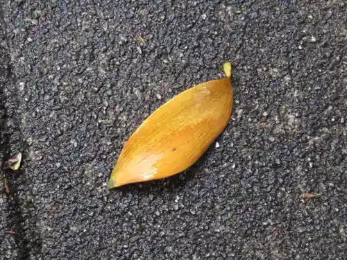 城上神社の自然