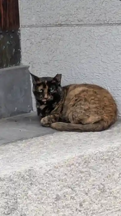 真行寺(大阪府)